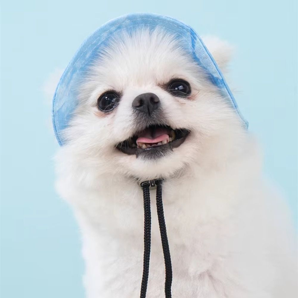 Bucket Hat Cotton - Summer Sunhat Cotton Cat Sun Hat