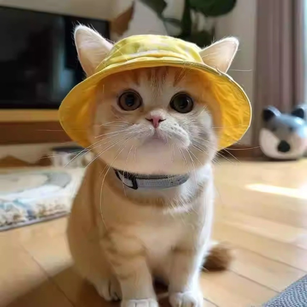 Summer Sunhat Cotton Cat Sun H - Bucket Hat Cotton review and price